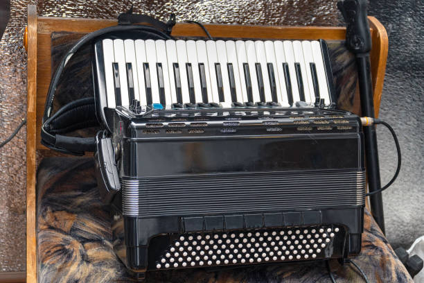 Electric accordion on a natural background. Accordion synthesizer