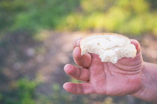 istock Snack Bread with mayonnaise in hand 972035934