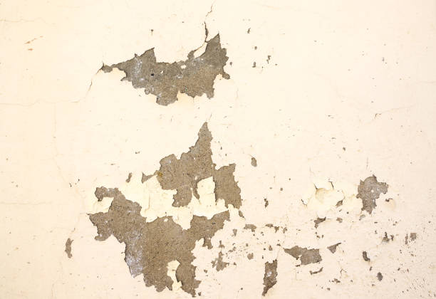 istock Wall paint peeling off due to moisture 972042558