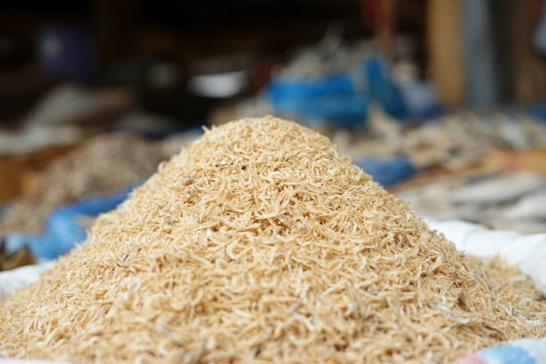 istock White dried small shrimp in market 972042642