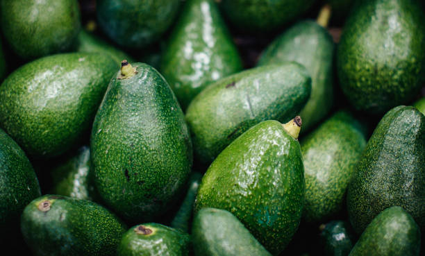 avocados frescas - aguacate fotografías e imágenes de stock