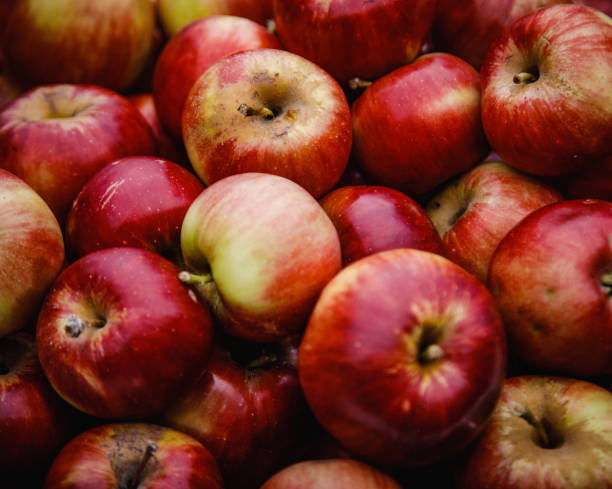 istock Background of fresh red apples 972054870