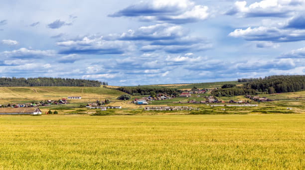 istock Rural landscape with fields of yellow blossoms 972055102