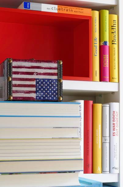istock American flag and bookshelfs 972061218