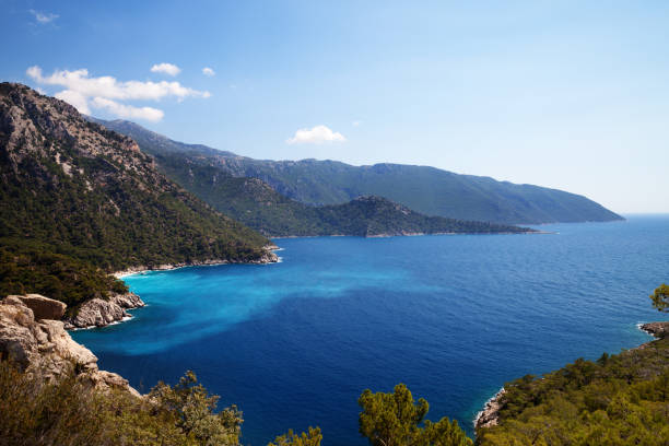 Beautiful calm bay and blue clear sea Beautiful calm bay with pine trees and blue clear sea at warm sunny summer day. Mediterranean sea, Turkey. View from above. cusp stock pictures, royalty-free photos & images