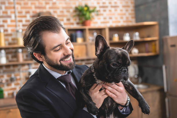 smiling handsome loner businessman hugging bulldog at kitchen