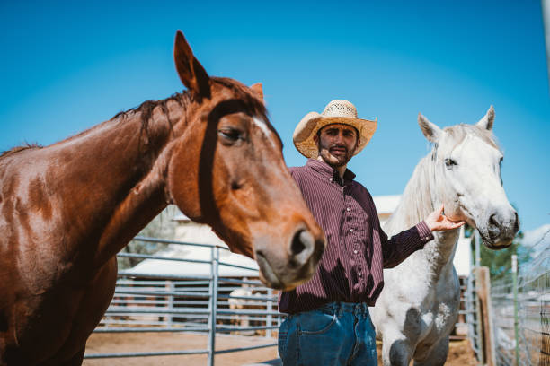 istock Farmer with two horses on ranch 972089798