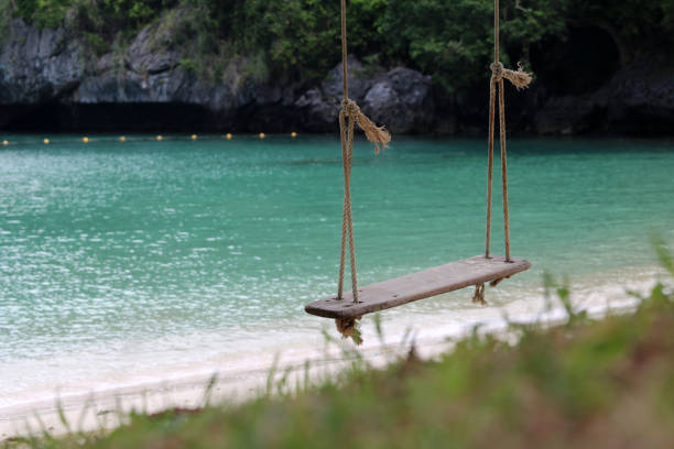 Wooden cradle or swing hanging on the beach with nature and ocean views background