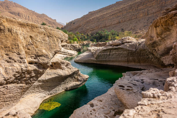 erfrischend kaltes wasser von der oase wadi bani khalid in oman - flussbett stock-fotos und bilder
