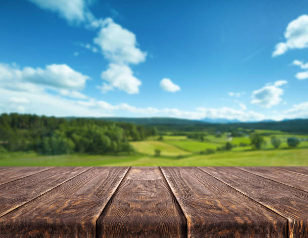 istock Wooden tablet on natural background 972102266