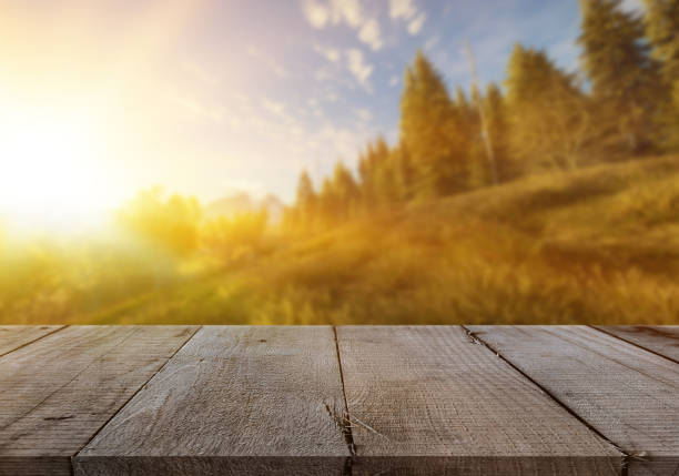 istock Wooden tablet on natural background 972102296