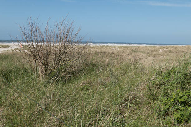 istock the german island juist 972102398
