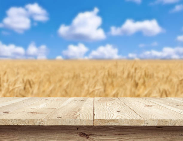 istock Wooden tablet on natural background 972105608