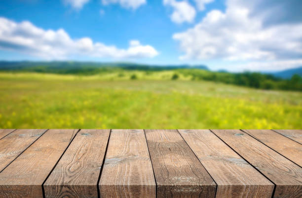 istock Wooden tablet on natural background 972108060