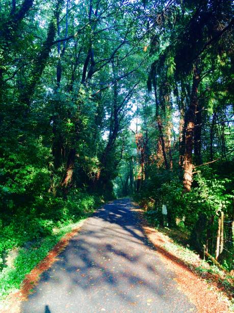 istock Road Less Traveled 972112252