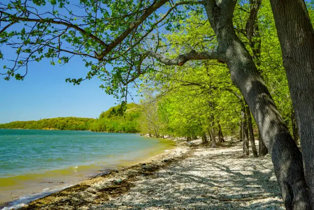 Scenic sandy beach with blue water and green trees at a park in Kentucky