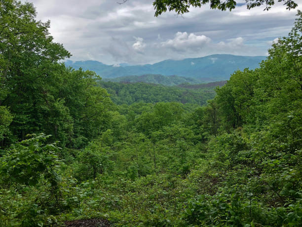 istock Smoky Mountain Landscape 972137670