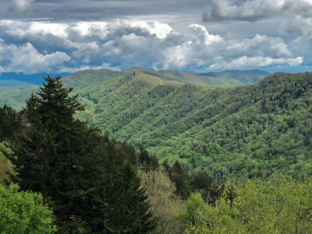 istock Smoky Mountain Landscape 972137680