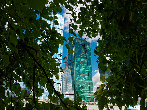 Group of Moscow International business centre skyscrapers. View from Tarasa Shevchenko embankment looking through the tree branches in summer day