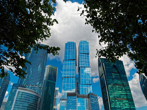 Group of Moscow International business centre skyscrapers. View from Tarasa Shevchenko embankment looking through the tree branches in summer day
