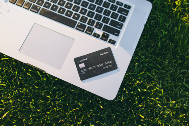 istock Close up credit bank card, laptop pc computer with blank black empty screen to copy space in park on vibrant spring green fresh grass, sunshine lawn outdoors. Mobile Office. Freelance business concept 972138304