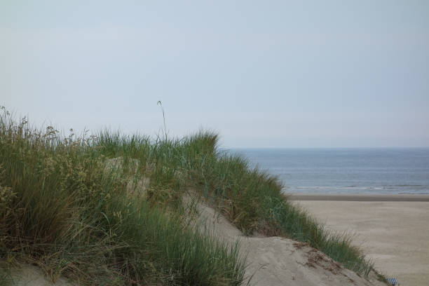 istock the german island juist 972138338
