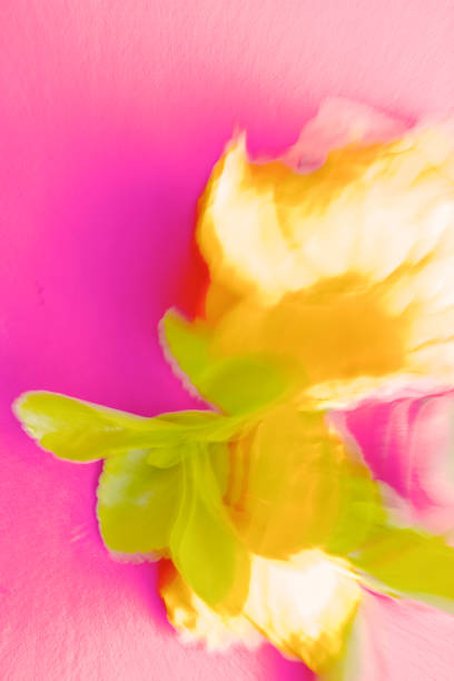istock Nature, Abstract Vibrant Coloured Pantones 972148182