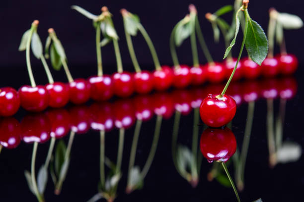 istock Sour cherry in a line reflection on a black glass surface 972151848
