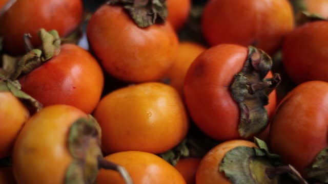 Persimmon (Diospyros kaki) fruits