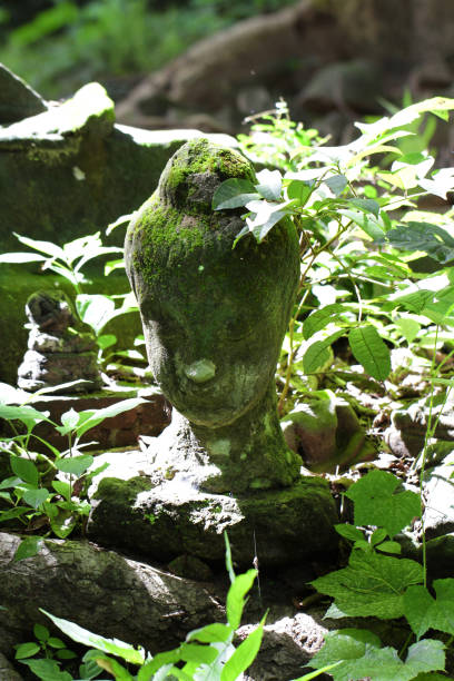 istock 700 years old ruined ancient stone buddha statue amount green freshness tree leaf during summer, broken body art crafting souvenir sculpture, damaged human statue 972154928
