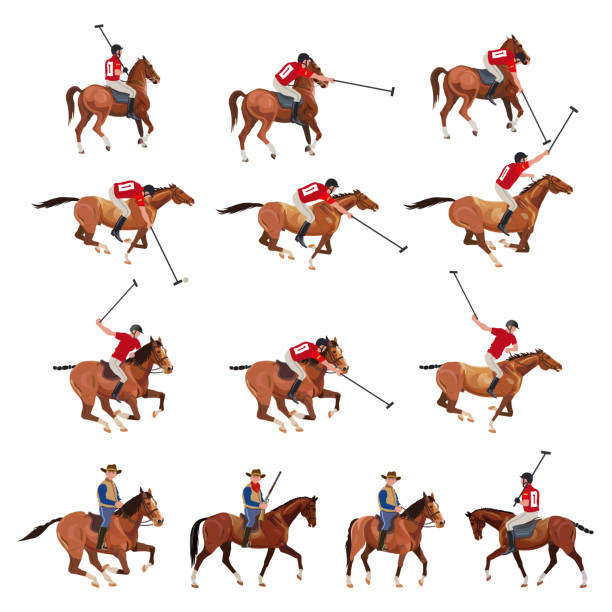 gracze polo ustawili . - horseback riding illustrations stock illustrations