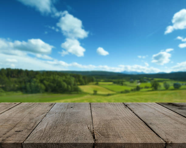 istock Wooden tablet on natural background 972161686