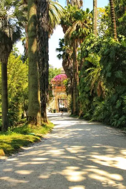 Photo of Leafy and green gardens in the Botanical Garden of Lisbon