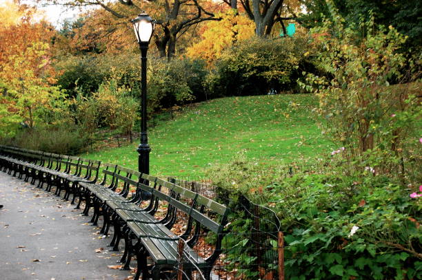 istock Park Benches in Central Park in Autumn 972165986