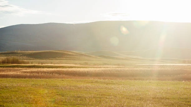 istock countryside landscape: mountains and fields in the morning sun 972173698