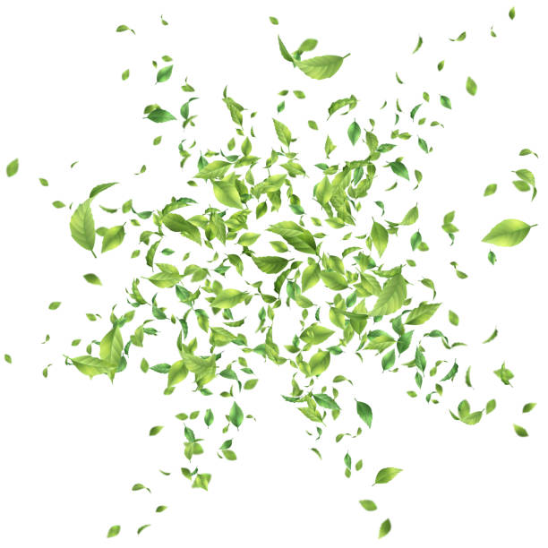 illustrazioni stock, clip art, cartoni animati e icone di tendenza di foglie volanti verdi - christmas backgrounds swirl green