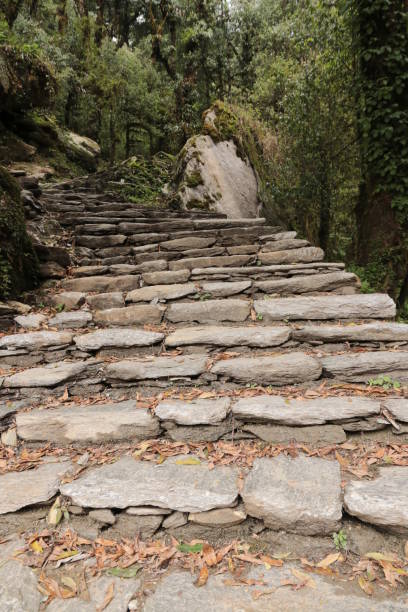 istock Stone Stairway To Heaven 972179780
