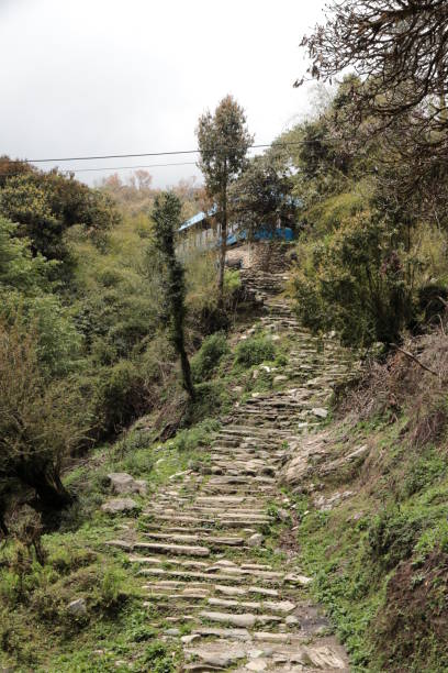 istock Stone Stairway To Heaven 972179848