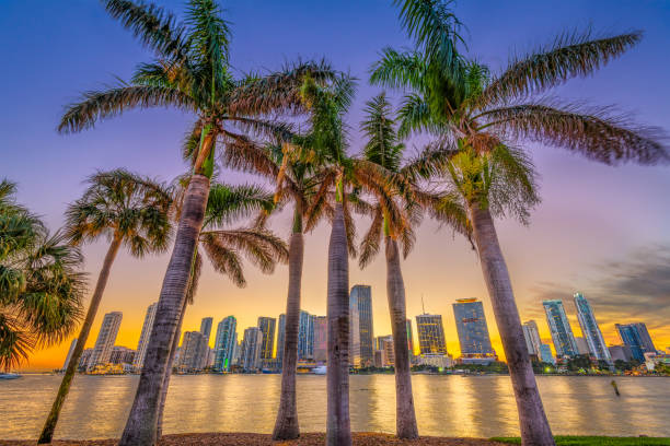 Miami, Florida, Coastal Skyline Miami, Florida, USA skyline on Bisayne Bay at dusk. south stock pictures, royalty-free photos & images