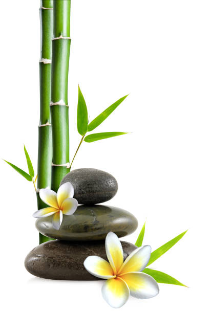 istock Stacked pebbles, frangipani flowers and bamboo stem and leaves 972193532