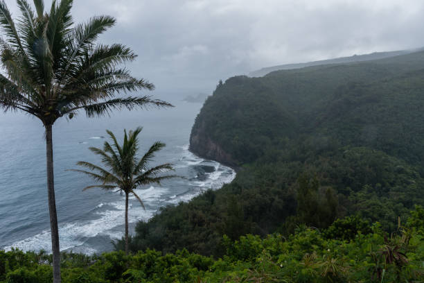 Scenic Pololu Valley vista on a rainy day on the Big Island of Hawaii Scenic Pololu Valley vista on a rainy day on the Big Island of Hawaii pololu stock pictures, royalty-free photos & images