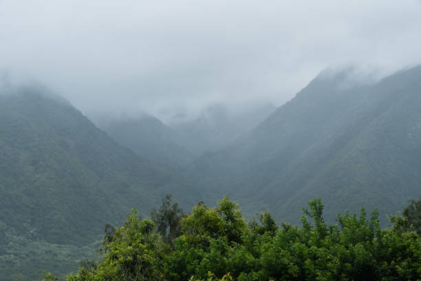 Scenic Pololu Valley vista on a rainy day on the Big Island of Hawaii Scenic Pololu Valley vista on a rainy day on the Big Island of Hawaii pololu stock pictures, royalty-free photos & images