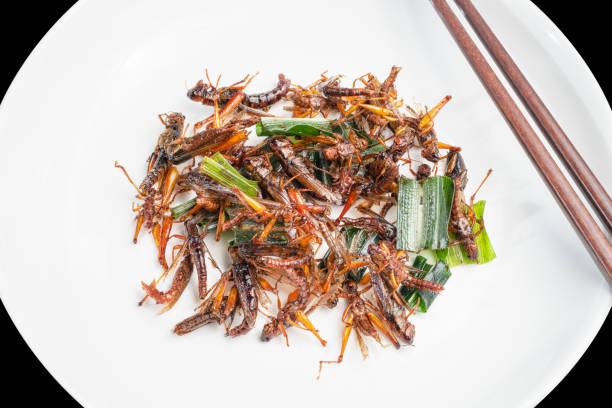 istock Grasshopper, Fried insect with chopsticks in white dish 972223770