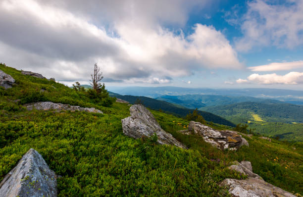 istock lovely nature scenery on the grassy hillside 972228672