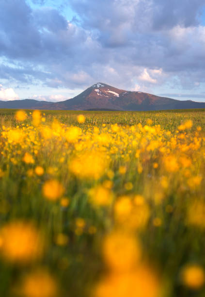 istock Petros mountain i spring, Ukranian Carpathians 972245796