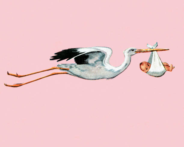 stork delivery - 動物像 幅插畫檔、美工圖案、卡通及圖標