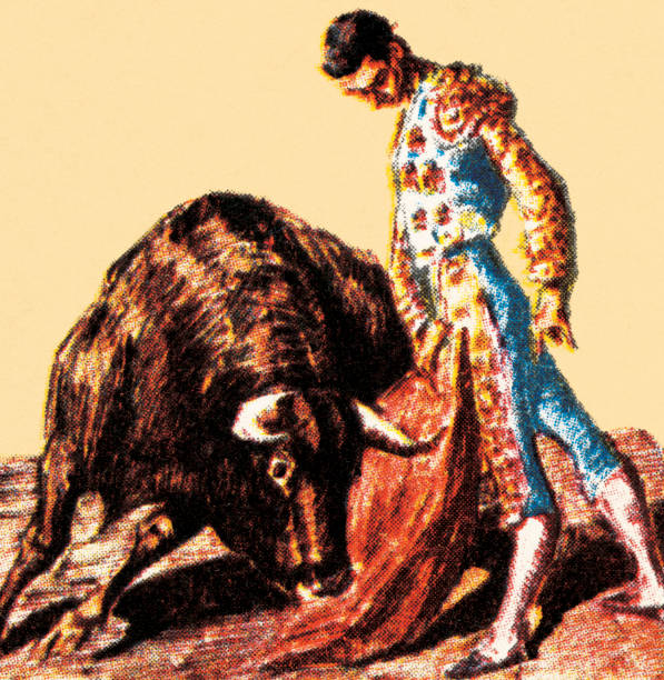 ilustraciones, imágenes clip art, dibujos animados e iconos de stock de torero y bull - matador