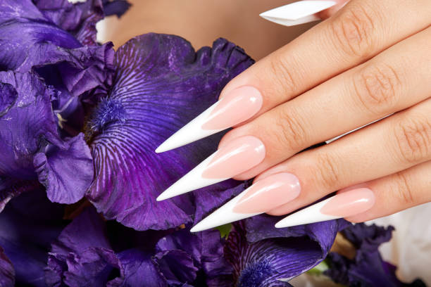 istock Hand with long artificial french manicured nails 972285174
