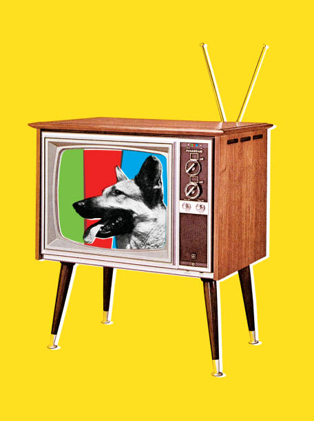 ilustraciones, imágenes clip art, dibujos animados e iconos de stock de perro pastor alemán en el televisor de pantalla gigante - german shepherd audio