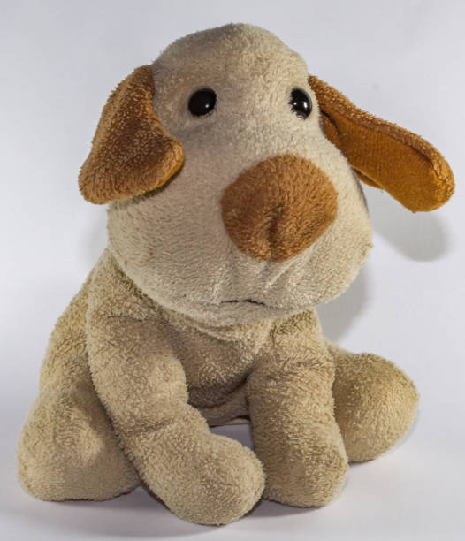 istock Plush dog, background in white color. 972291706